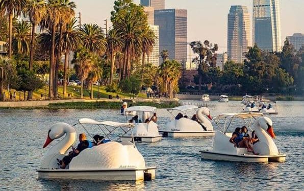 Swan Boat Rentals Los Angeles